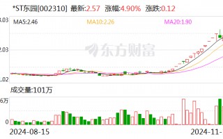 *ST东园连续两日涨幅偏离值累计超12%