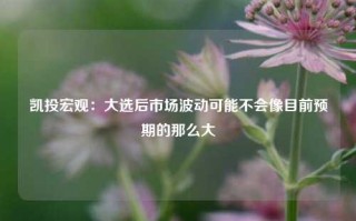 凯投宏观：大选后市场波动可能不会像目前预期的那么大