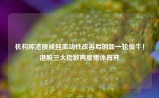 机构称港股或迎流动性改善后的新一轮慢牛！港股三大指数再度集体高开