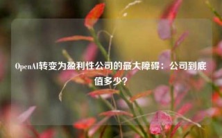 OpenAI转变为盈利性公司的最大障碍：公司到底值多少？