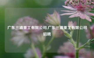 广东三浦重工有限公司,广东三浦重工有限公司招聘