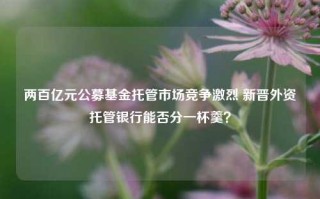 两百亿元公募基金托管市场竞争激烈 新晋外资托管银行能否分一杯羹？