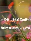 地缘政治紧张+利率政策前景担忧，全球股票基金资金流入放缓