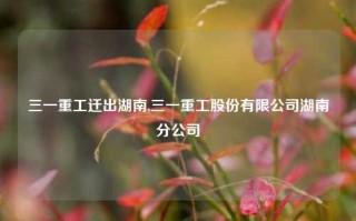 三一重工迁出湖南,三一重工股份有限公司湖南分公司