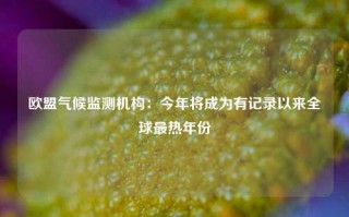 欧盟气候监测机构：今年将成为有记录以来全球最热年份