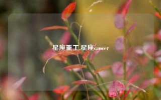 星座重工,星座cancer