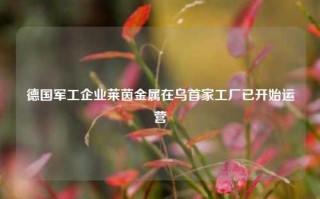 德国军工企业莱茵金属在乌首家工厂已开始运营