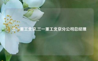 三一重工北京,三一重工北京分公司总经理