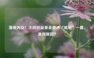 落袋为安！主动权益基金遭遇“尴尬”一幕，是何原因？