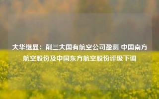 大华继显：削三大国有航空公司盈测 中国南方航空股份及中国东方航空股份评级下调