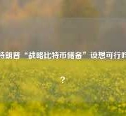 特朗普“战略比特币储备”设想可行吗？