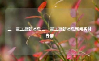 三一重工最新消息,三一重工最新消息新闻实时行情