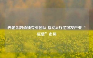 养老金融亟须专业团队 撬动30万亿银发产业“巨擘”市场