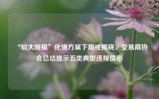 “较大规模”化债方案下周或揭晓，交易商协会总结提示五类典型违规情形