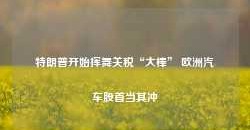 特朗普开始挥舞关税“大棒” 欧洲汽车股首当其冲