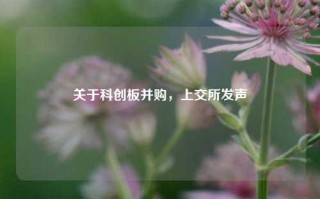 关于科创板并购，上交所发声