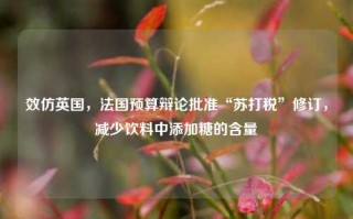 效仿英国，法国预算辩论批准“苏打税”修订，减少饮料中添加糖的含量