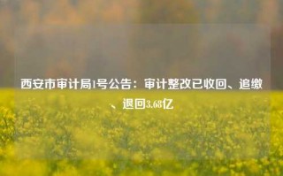 西安市审计局1号公告：审计整改已收回、追缴、退回3.68亿