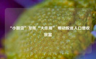 “小额贷”发挥“大作用” 带动脱贫人口增收致富