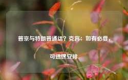 普京与特朗普通话？克宫：如有必要，可迅速安排