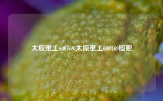 太原重工600169,太原重工600169股吧