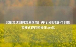 买断式逆回购交易落地！央行10月开展6个月期买断式逆回购操作5000亿