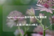 Applovin Corporation盘中异动 下午盘急速上涨5.02%报334.20美元