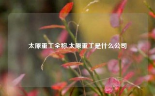 太原重工全称,太原重工是什么公司