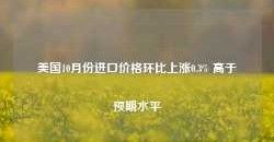 美国10月份进口价格环比上涨0.3% 高于预期水平