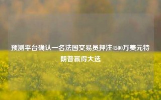 预测平台确认一名法国交易员押注4500万美元特朗普赢得大选