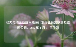 动力电池企业蜂巢能源计划终止运营欧洲及德国公司，2025 年 1 月 31 日生效