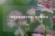 “信贷资金可用于炒股”不可信 不可行