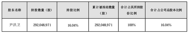 大股东持股遭八次轮候冻结，岭南股份流动性危机何解-第1张图片-山东威力重工