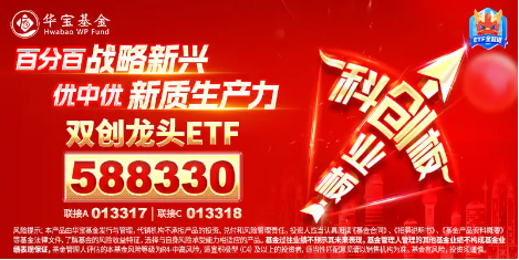 高弹性魅力凸显！科创板狂飙，硬科技宽基——双创龙头ETF（588330）盘中涨逾2%，华大九天20CM涨停-第2张图片-山东威力重工