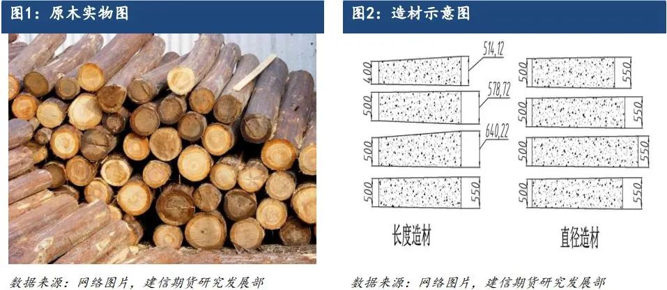 原木期货上市系列专题一：原木基础知识及产业链格局-第2张图片-山东威力重工