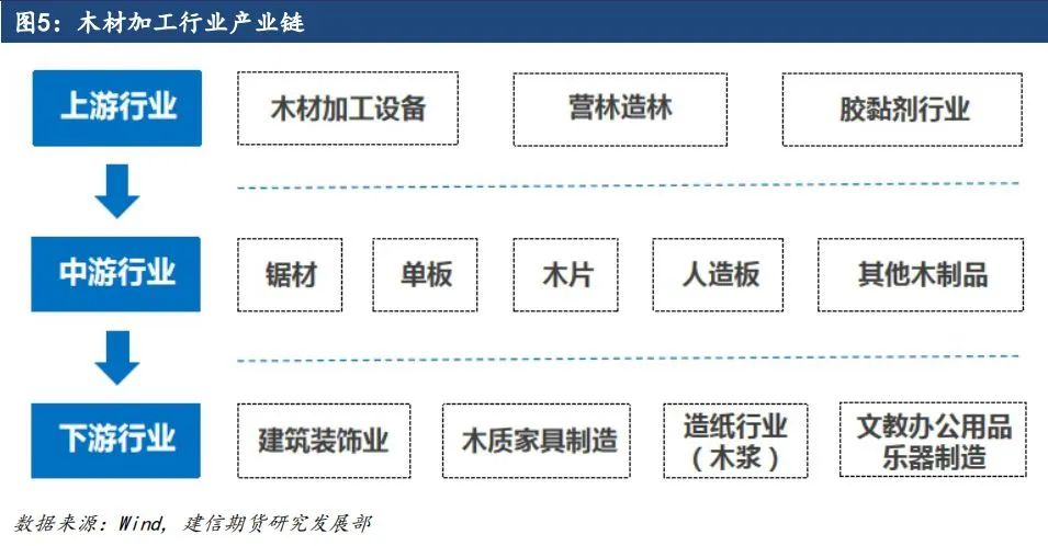 原木期货上市系列专题一：原木基础知识及产业链格局-第5张图片-山东威力重工