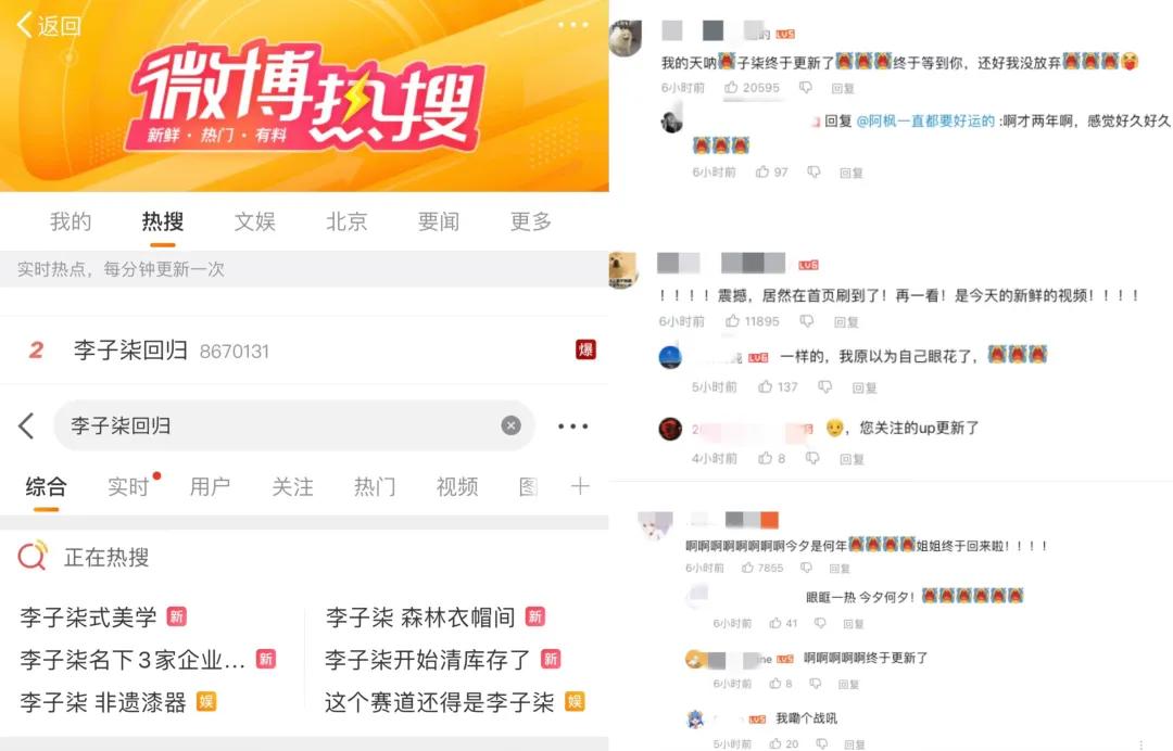 李子柒，一夜涨粉380万-第1张图片-山东威力重工