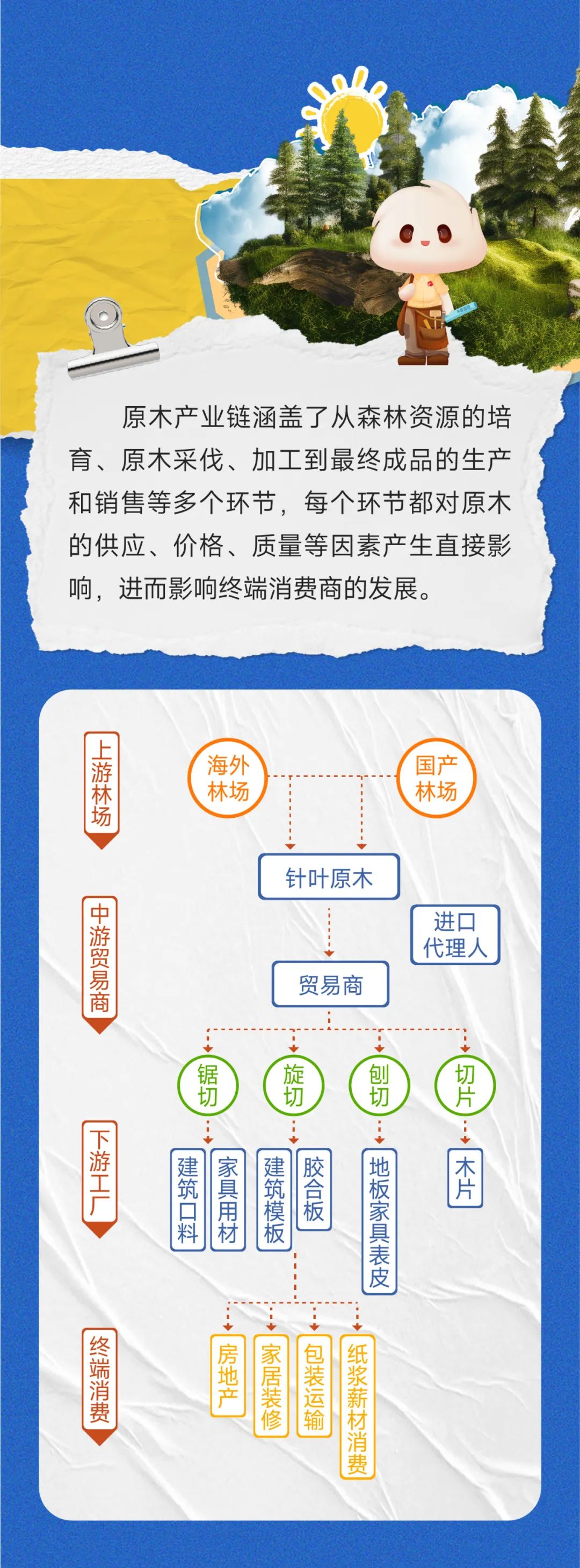 一图读懂原木期货-第10张图片-山东威力重工