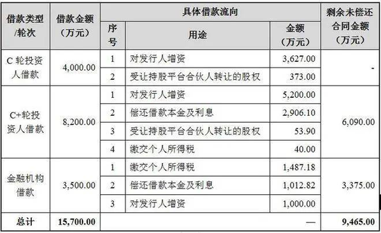 胜科纳米IPO：实控人举债增持公司股份，二十年押上全部身家，办出“芯片全科医院”-第2张图片-山东威力重工