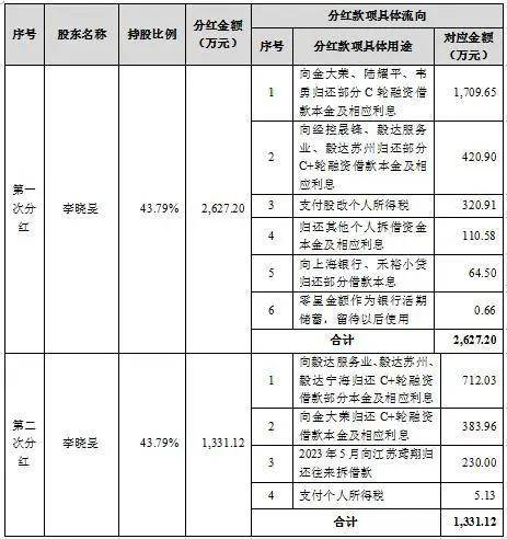 胜科纳米IPO：实控人举债增持公司股份，二十年押上全部身家，办出“芯片全科医院”-第3张图片-山东威力重工