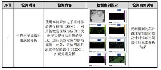 胜科纳米IPO：实控人举债增持公司股份，二十年押上全部身家，办出“芯片全科医院”-第4张图片-山东威力重工