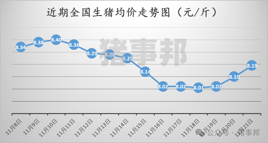 11月21日猪价汇总（继续普涨，但情绪分化！）-第3张图片-山东威力重工