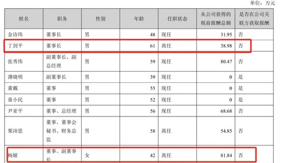 美女总经理带头财务造假,海伦哲索赔2.48亿-第3张图片-山东威力重工