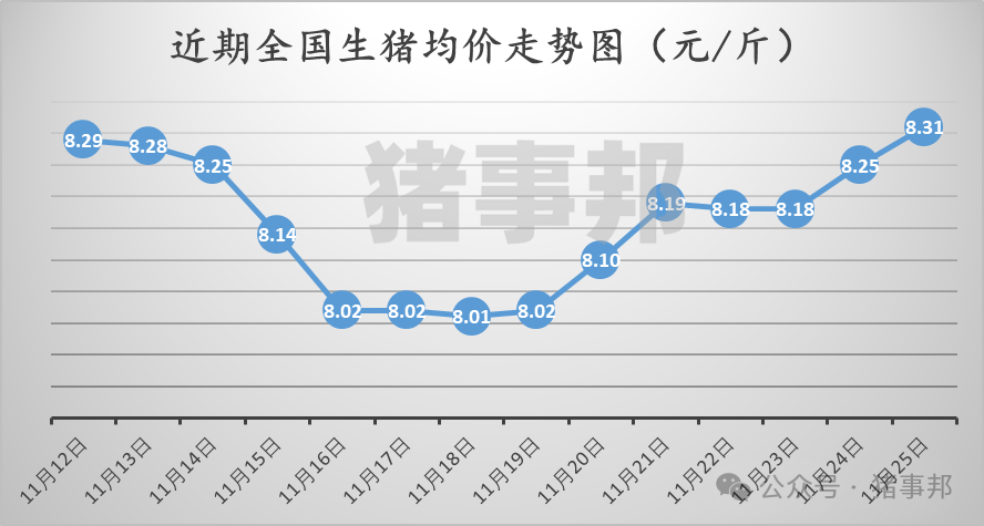 11月25日猪价汇总（涨势收窄，明日猪价或有变！）-第3张图片-山东威力重工