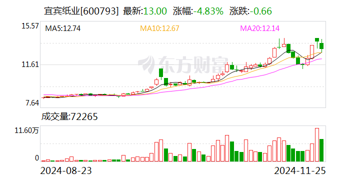 宜宾纸业：子公司拟投建两项目 项目总投资合计5.4亿元-第1张图片-山东威力重工