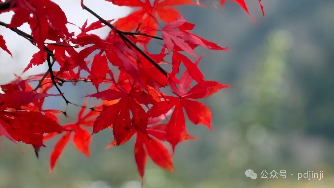 跨年行情要启动？-第1张图片-山东威力重工