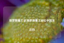 俄罗斯重工业,俄罗斯重工业比中国发达吗-第1张图片-山东威力重工