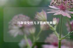 马斯克变性儿子要离开美国-第1张图片-山东威力重工