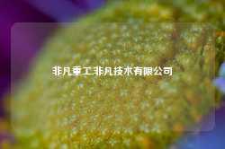 非凡重工,非凡技术有限公司-第1张图片-山东威力重工