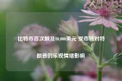 比特币首次触及80,000美元 受市场对特朗普的乐观情绪影响-第1张图片-山东威力重工